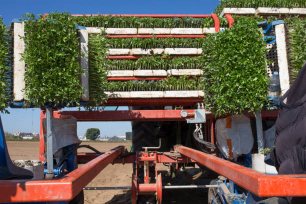 کشاورزی عمده در فروشیاب: خرید و فروش مستقیم محصولات کشاورزی با بهترین قیمت - آگهی تجاری