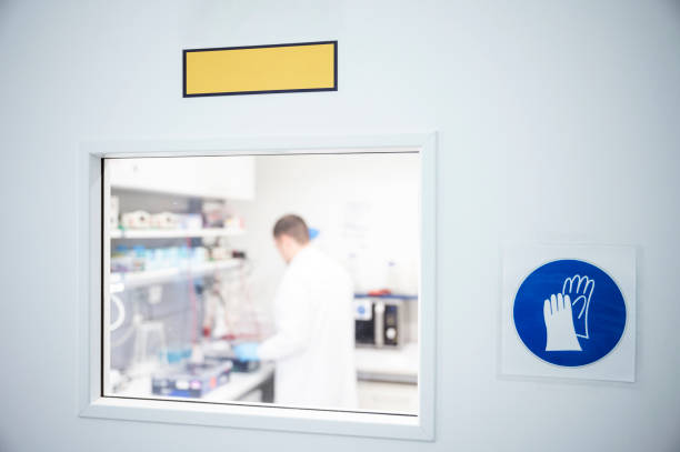 سئو محلی برای آزمایشگاه تخصصی در شیراز: افزایش مراجعین و دسترسی آسانتر بیماران - اعتبار آزمایشگاه شیراز