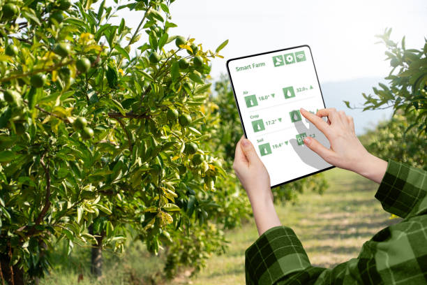 بذر و نهال عمده | فرصتهای فروش و خرید عمده در فروشیاب | آگهی تجاری