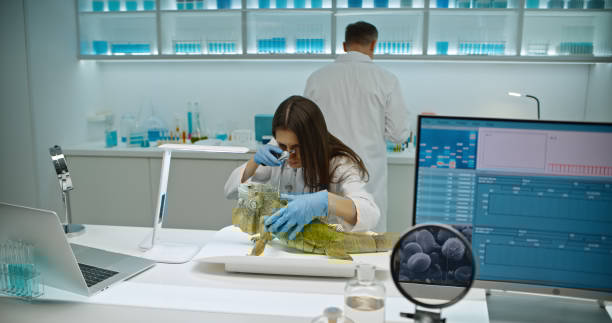 پرتال نوبتدهی آنلاین و CRM پزشکی برای آزمایشگاه پاتوبیولوژی در مشهد: تحولی در مدیریت و تجربه مراجعین ۲۰۲۶ - CRM آزمایشگاهی