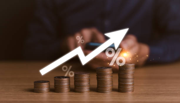 افزایش سود کسبوکار، سایت مقیاسپذیر، خرید سایت آماده ایرانگراف