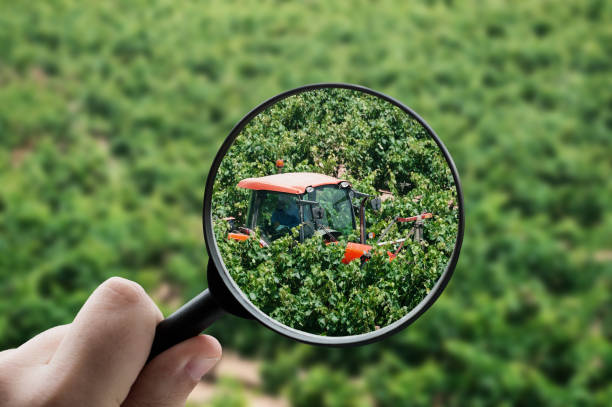 فروش عمده کشاورزی با فروشیاب: بستر آنلاین آگهی تجاری برای کشاورزان