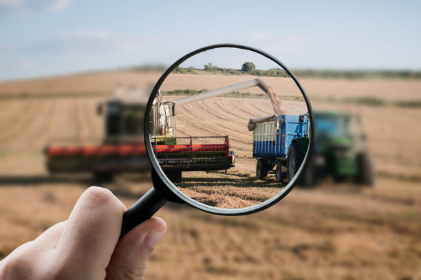 صیفیجات عمده | ثبت آگهی کشاورزی با تمرکز بر کیفیت در فروشیاب