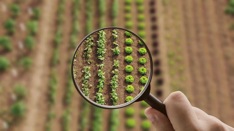 ثبت آگهی کشاورزی و دامپروری عمده: افزایش دیده‌شدن در بازار فروش‌یاب، فروش عمده محصولات کشاورزی، خرید و فروش عمده