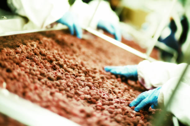 فروش مستقیم مواد پروتئینی و لبنیات: بازار عمده‌فروشی تخصصی فروش‌یاب - تامین کننده مواد پروتئینی، فروش عمده لبنیات، ثبت آگهی