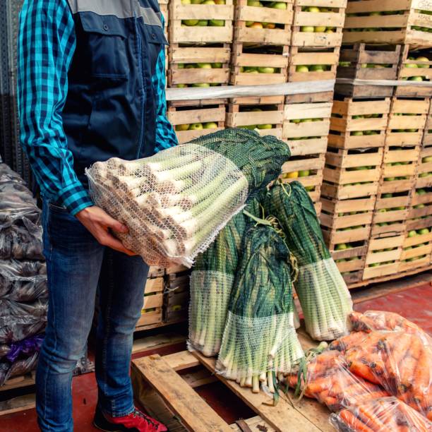 جستجوی قیمت عمده صیفی‌جات و چاشنی در بازار فروش‌یاب، خرید عمده، فروش مستقیم