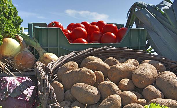 کشاورزی عمده در فروشیاب: خرید و فروش مستقیم محصولات کشاورزی با بهترین قیمت - قیمت محصولات کشاورزی