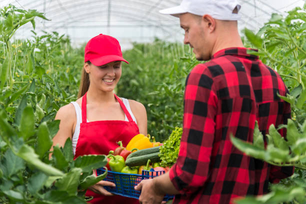 فروش مستقیم از کشاورز در فروشیاب | خرید عمده غلات و خشکبار