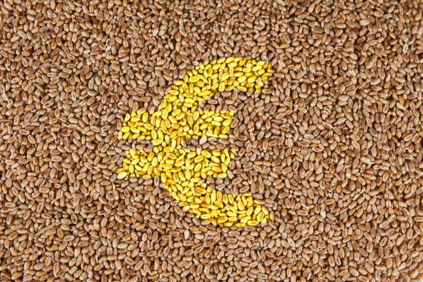 غلات عمده ارزان، فروش‌یاب عمده فروشی، آگهی تجاری