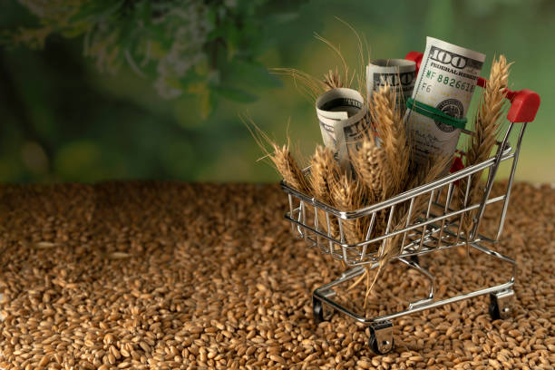 فروشیاب، بازار آنلاین غلات | خرید و فروش عمده و آگهی عمده فروشی