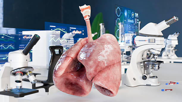 سئو تخصصی پزشکی برای فوق تخصص ریه و ICU در مشهد: تقویت برندینگ دیجیتال با وبسایت سلامت ۲۰۲۶ - سئو فوق تخصص ریه در مشهد