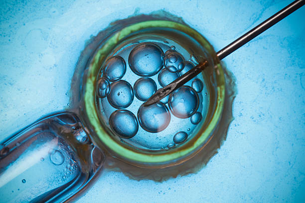 طراحی سایت پزشکی مدرن برای مراکز ناباروری و IVF در تهران - بارداری و IVF