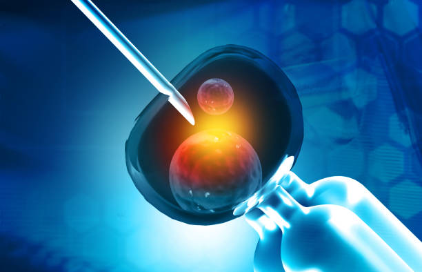 CRM پزشکی و نرمافزارهای مدیریت برای مراکز ناباروری و IVF در شیراز: تقویت برندینگ دیجیتال پزشکی و بهبود تجربه مراجعین ۲۰۲۶ - درمان IVF - شیراز - پینوسایت