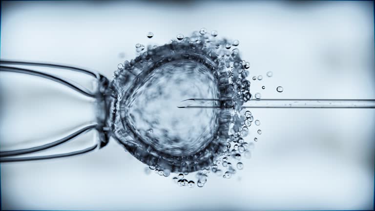 برندینگ دیجیتال پزشکی برای مراکز ناباروری و IVF در کرمان - جذب بیمار IVF