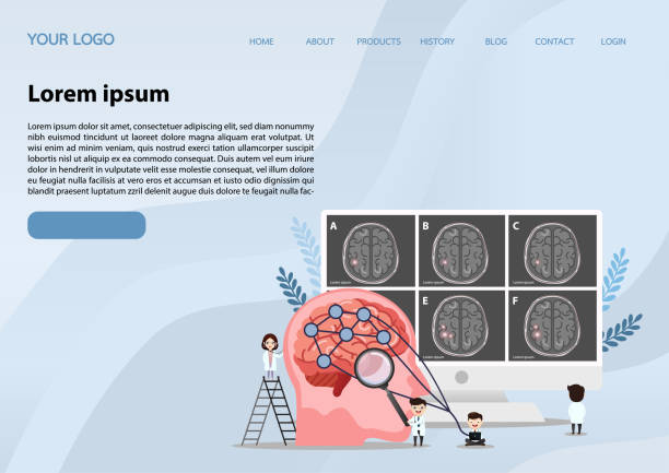 تصویر مغز و اعصاب مرتبط با تخصص دکتر در شیراز و سئوی محلی