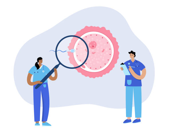 برندینگ دیجیتال و بازاریابی آنلاین پزشکی برای مراکز ناباروری IVF در اراک