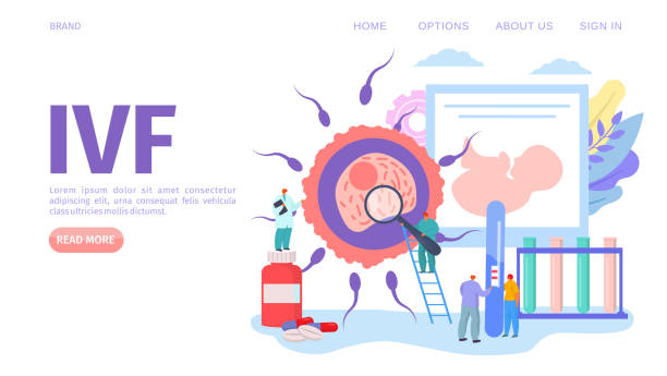 طراحی سایت پزشکی پیشرفته برای مراکز ناباروری و IVF در اصفهان - تصویر وکتور IVF و مفهوم باروری پزشکی - پینوسایت