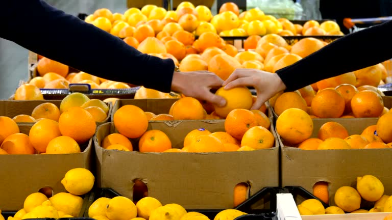 تصویر: فروش مستقیم میوه و صیفی‌جات عمده در فروش‌یاب، فرصتی برای خرید و فروش عمده و آگهی تجاری