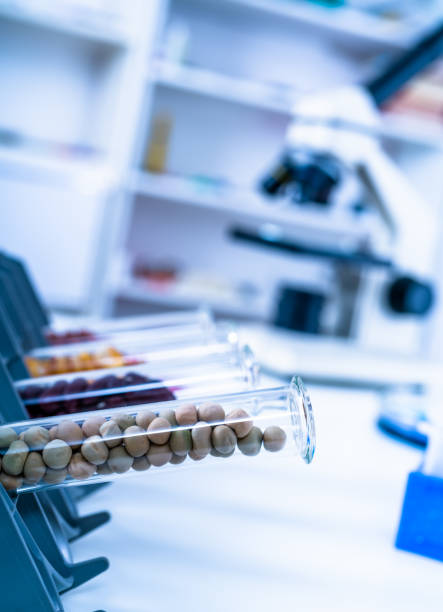 سئو محلی برای آزمایشگاه پاتوبیولوژی در تبریز | آزمایشگاه شیمی و غذا