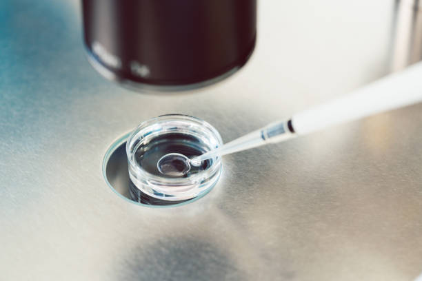 CRM پزشکی مراکز ناباروری و IVF در شیراز: مدیریت کلینیک ناباروری و بهینهسازی سئو تخصصی پزشکی توسط پینوسایت