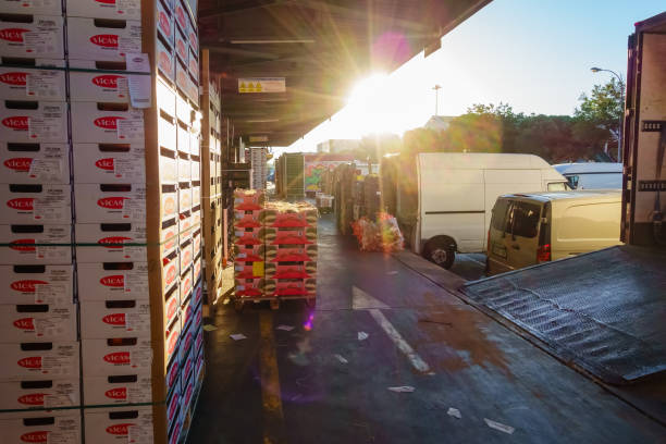 خرید عمده فرآوردههای غذایی در مراکز پخش و بارگیری آسان در فروشیاب