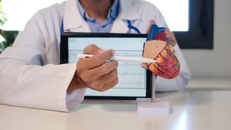 متخصص پزشکی در حال توضیح سلامت قلب با مدل قلب و تبلت ECG برای سئو فوق تخصص قلب و عروق در اصفهان