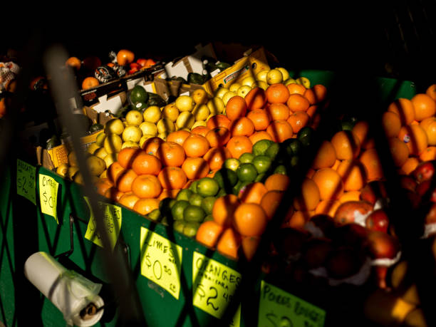 بازار عمده فروشی کشاورزی: خرید و فروش عمده محصولات باغی با قیمت دست اول در فروشیاب