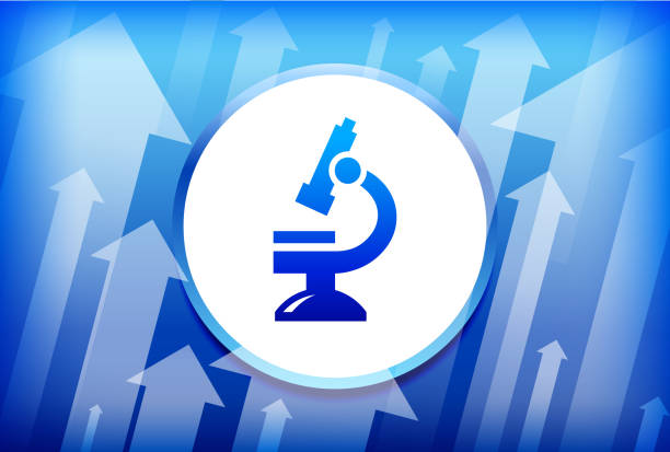 تیم متخصصین سئو در حال کار روی استراتژی افزایش بازدید سایت آزمایشگاه در تبریز