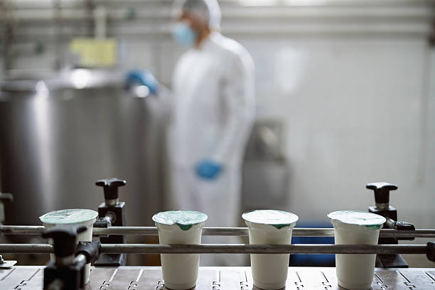 کارخانه فرآوری شیر با لیوان‌های ماست روی نوار نقاله و کارگر در پس‌زمینه، نمایانگر ظرفیت تولید و عرضه لبنیات عمده فروشی در فروش‌یاب