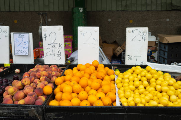 فروش مستقیم میوه و صیفی‌جات تازه در فروش‌یاب | خرید و فروش عمده