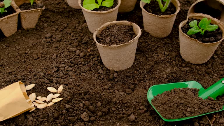 ثبت آگهی بذر و نهال در فروشیاب - بازاریابی محصولات کشاورزی