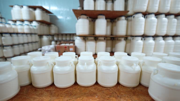 خرید عمده لبنیات و پنیر از تولیدکنندگان معتبر در فروشیاب