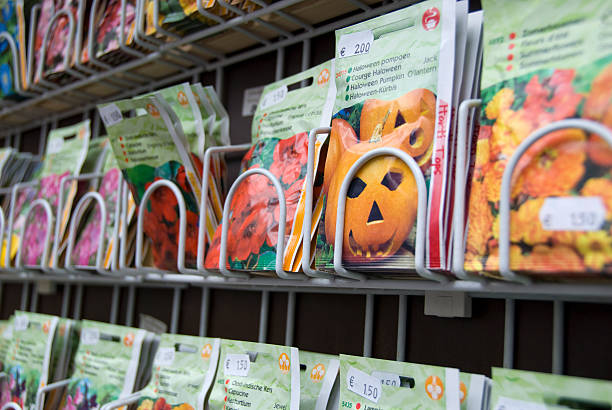 خرید عمده محصولات کشاورزی | فروش مستقیم بذر و نهال در فروشیاب - بذر کدو تنبل - فروشیاب، خرید و فروش عمده، آگهی تجاری