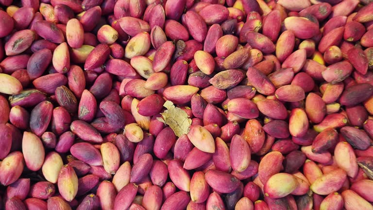 فروش عمده پسته اکبری و احمدآقایی | فروش‌یاب، خرید و فروش عمده، آگهی تجاری