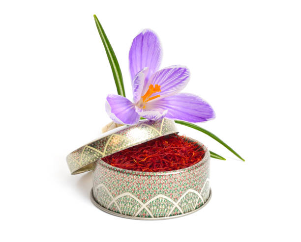 زعفران اصیل ایرانی | فرصتهای خرید مستقیم زعفران نگین سرگل و فروش عمده در فروشیاب