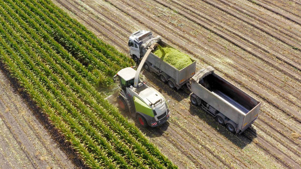 فروش عمده محصولات کشاورزی و غلات - فروش‌یاب - خرید و فروش عمده