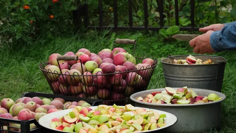 تنوع آگهیها و خرید عمده میوه در فروشیاب