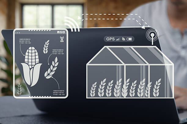 بازار آنلاین غلات در فروشیاب | خرید و فروش عمده و آگهی تجاری