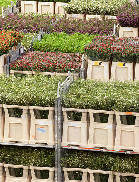 مقایسه فروش عمده کشاورزی در فروشیاب و روشهای سنتی: آگهی تجاری