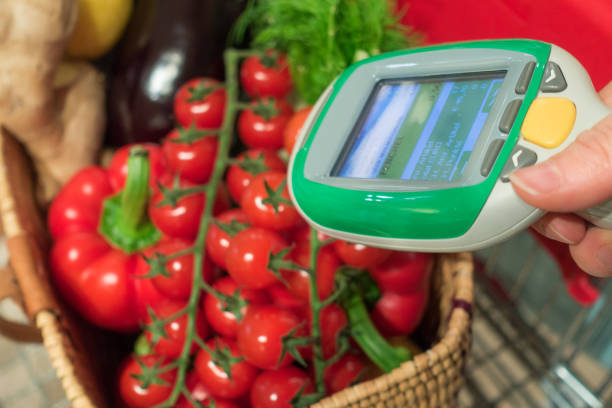 خرید عمده صیفی‌جات در فروش‌یاب | پلتفرم آگهی تجاری برای میوه و سبزیجات