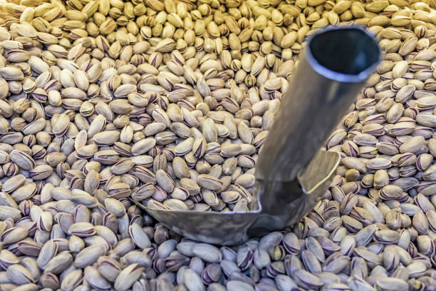 خرید عمده پسته اکبری | بازار عمده فروشان پسته | فروش‌یاب | ارتباط مستقیم با فروشنده