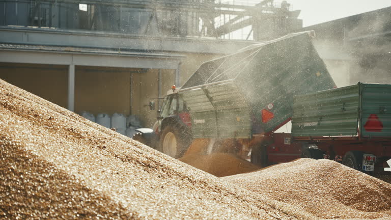 خرید و فروش عمده خشکبار در فروشیاب | نیازمندیهای تجاری | آگهی تجاری