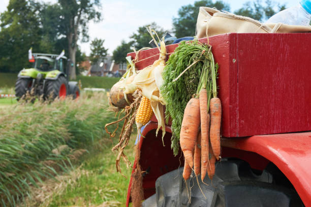 قیمت رقابتی محصولات کشاورزی در فروشیاب - خرید و فروش عمده