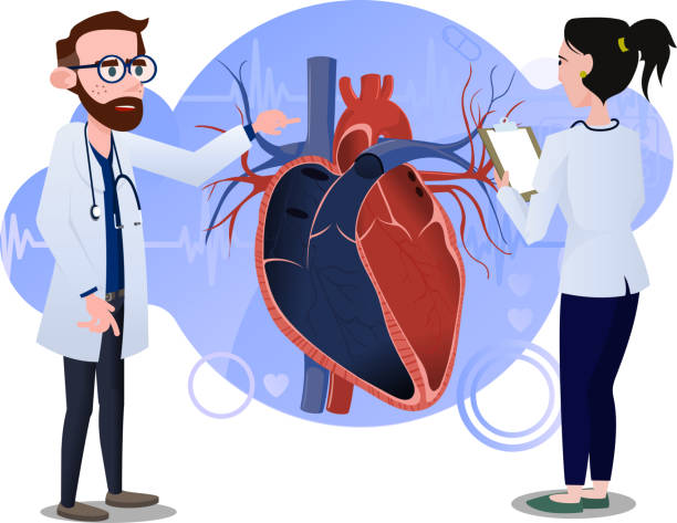 طراحی سایت پزشکی برای متخصص قلب و عروق تهران و مطالعه سیستم کرونری قلب