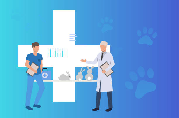 طراحی پرتال نوبتدهی آنلاین و CRM دامپزشکی برای کلینیکهای دامپزشکی در ارومیه: بهینهسازی UX صاحبان حیوانات ۲۰۲۶ | CRM دامپزشکی در ارومیه