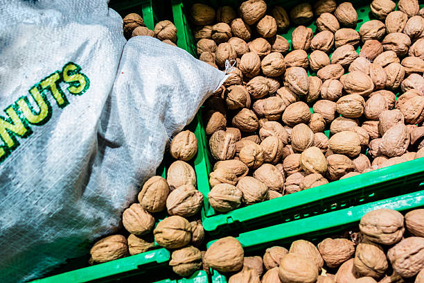 برای خریداران عمده خشکبار درجه یک، فرصتی استثنایی پسته، بادام و گردو با تضمین کیفیت و قیمت رقابتی ارسال سراسر کشور با ثبت آگهی در فروشیاب، مستقیم با فروشنده ارتباط بگیرید و بهترین قیمت عمده را تجربه کنید همین حالا تماس بگیرید! - فروشیاب، تامین کننده خشکبار عمده، قیمت رقابتی خشکبار