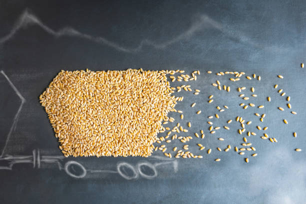 تامین عمده غلات در فروشیاب - خرید عمده