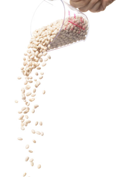 ثبت آگهی رایگان حبوبات در فروش‌یاب | خرید و فروش عمده