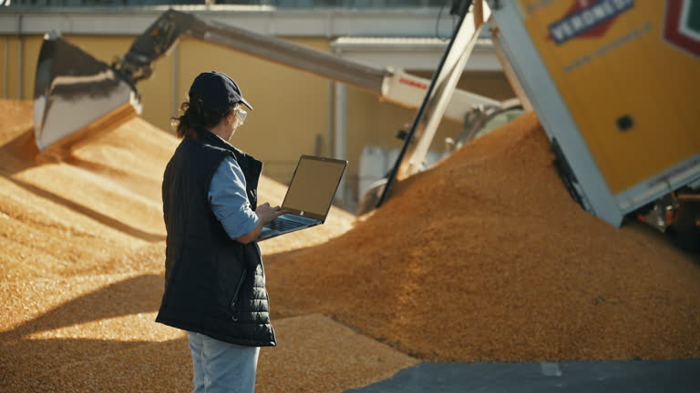 فروش مستقیم غلات عمده و ثبت آگهی در فروشیاب | نیازمندیهای تجاری و آگهی تجاری