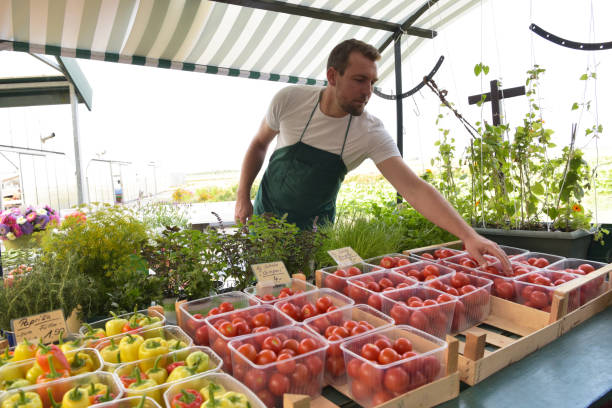 بازار مستقیم کشاورزی: کشاورز در حال فروش مستقیم میوه و سبزیجات تازه از مزرعه در فروشیاب